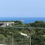 Rostalana Vila Pinarellu